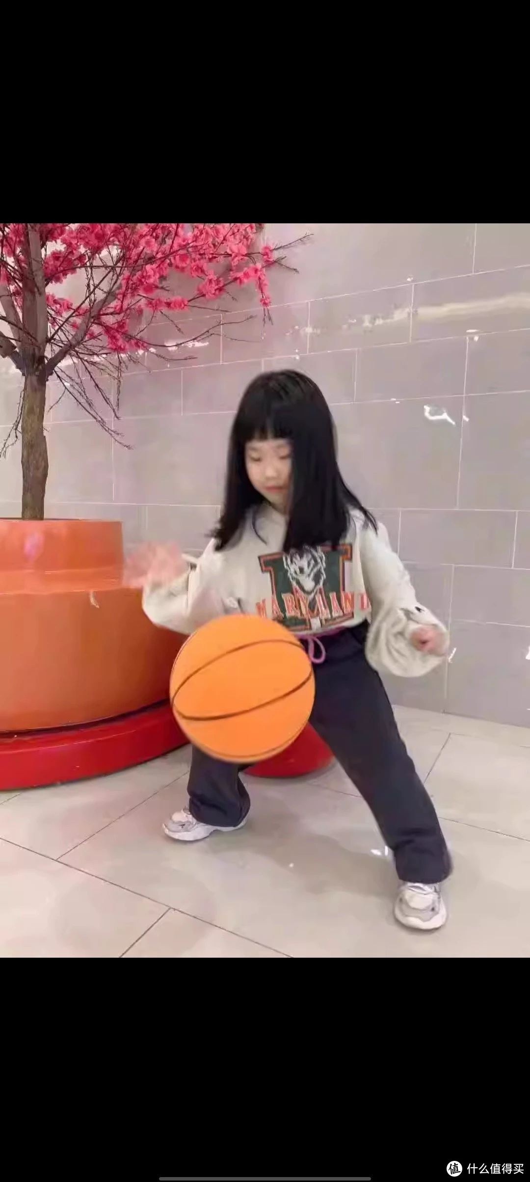 篮球训练营需要办学资质吗知乎_0